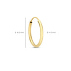 Noémie Sorel Earrings | Gold
